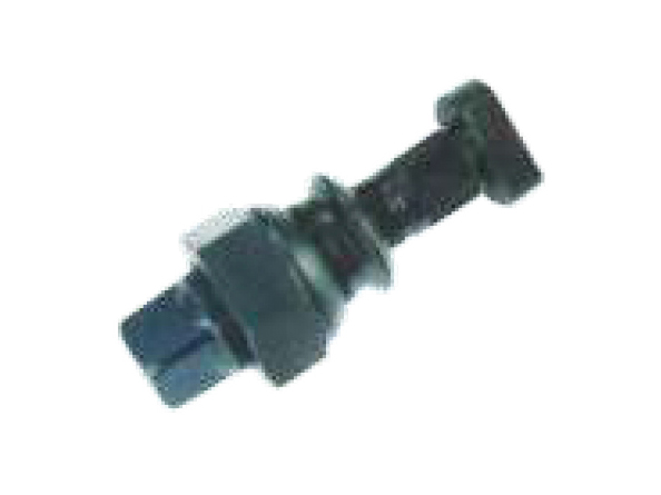 Fuhua Car 20T Rear Tire Screw