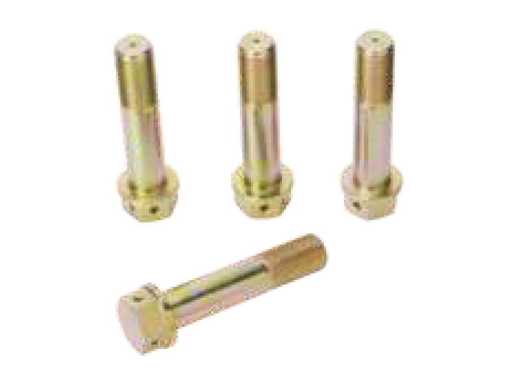 Bracket bolts